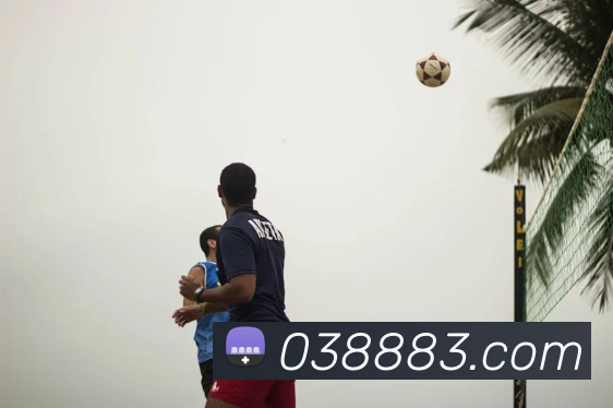 奖项证书